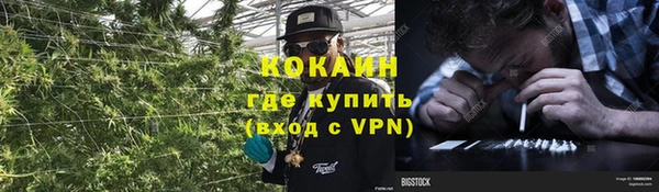 трава Слюдянка