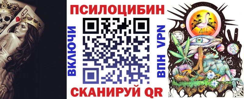 Псилоцибиновые грибы Psilocybe  наркошоп  Лодейное Поле 