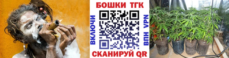 Канабис гибрид  Лодейное Поле 